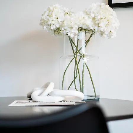 1 BR Studio - ZENTRAL - PARKHAUS - BUSINESS - KAFFEE - NETFLIX - SMART TV - KÜCHE Apartment Wiesbaden